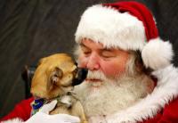 Pet Photo w/Santa at Pet Smart Pet Photo w/Santa at Pet Smart