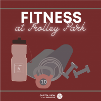 Pilates in the Park