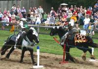 Tennessee Renaissance Festival