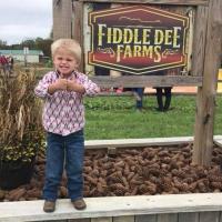 Fun at Fiddle Dee Farms