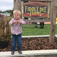 Fiddle Dee Farms Fun at Fiddle Dee Farms