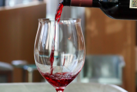 Wine Tasting: Bolgheri and the Tuscan Coast