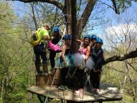 Honeysuckle Hill Farm Treetop Canopy Tour