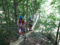 Honeysuckle Hill Farm Treetop Canopy Tour