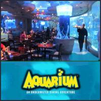 Great Family dining at Aquarium Restaurant in Opry Mills Mall, Nashville Tennessee