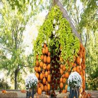 Cheekwood Harvest