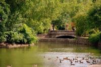 Nashville Centennial Park Nashville Centennial Park