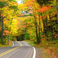 Enjoy a fall drive to view the best in Nashville and Middle Tennessee Colors