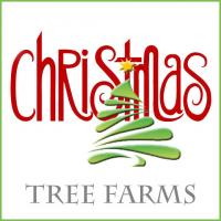 Nashville Christmas Tree Farms