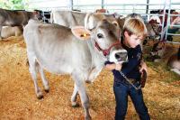 Prize winning goat at the Williamson County Fair