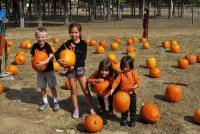 Pumpkin Patch and Fall Family Fun at Lucky Ladds Farms