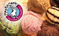 Maggie Moo's Ice Cream Shops