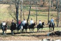 Natchez Trace Riding Stable Natchez Trace Riding Stable