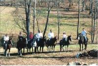 Natchez Trace Riding Stable