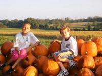 Boyd's Pumpkin Patch and Corn Maze