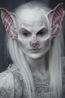 AMUA Special FX Academy of Make Up Arts
