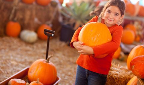 Little Girl with a pumpkin at a Nashville Festival