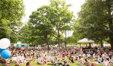 large crowd of people at Centennial Park in Nashville Tennessee