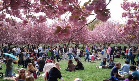 Crowd enjoying a springtime festival at Centennial Park in downtown Nashville 