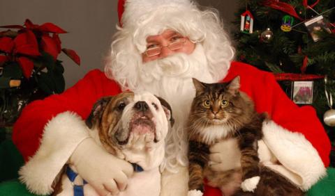 Nashville Pet Photos with Santa