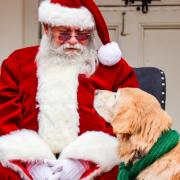 Bring your four-legged family member to join the merriment with Santa in the Frist Learning Center Courtyard.