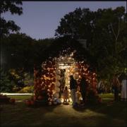 Harvest NIGHTS Bootanical Bash