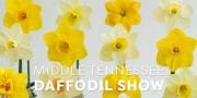 Middle Tennessee Daffodil Show