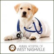 Animal Hospital of West Nashville