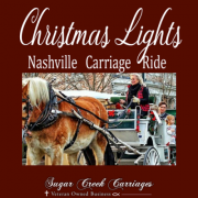 Christmas Lights in downtown Nashville by Carriage Ride