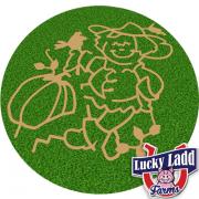 Lucky Ladd Corn Maze