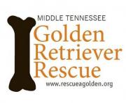 Middle Tennessee Golden Retriever Rescue
