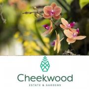 Orchids at Cheekwood