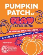 Pumpkin Patch at Play Playground
