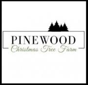 Pinewood Christmas Trees