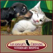 Savannah's Crossing Veterinary Hospital Murfreesboro Tennessee
