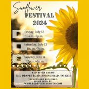 Sunflower Festival at Red River Farms, Springfield Tennessee