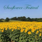 Sunflower Festival at Red River Farms, Springfield Tennessee