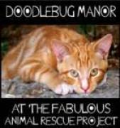 Doodlebug Manor