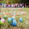 Join us for a lively weekend filled with 48 egg hunts for children in every age group.