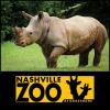 Today at the Zoo Nashville Tennessee